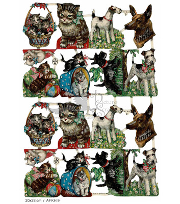 afkh 9 full sheet cats and dogs.jpg