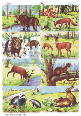 EAS 3102 b forest animals.jpg