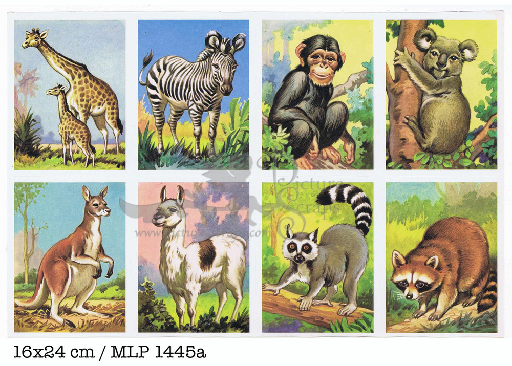 MLP 1445 a animals.jpg