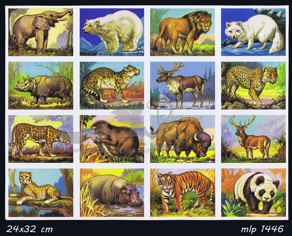 MLP 1446 fullsheet animals.jpg