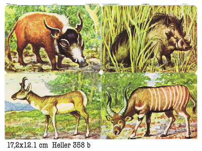 Heller 358 b forest animals square educational scraps.jpg