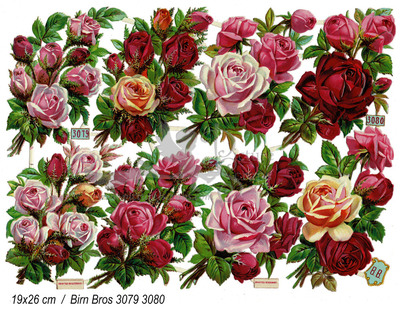 BB 3079 80 roses.jpg