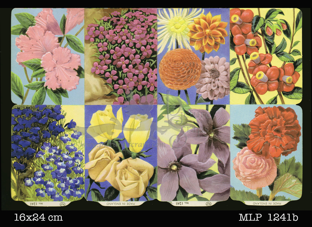 MLP 1241 b flowers.jpg