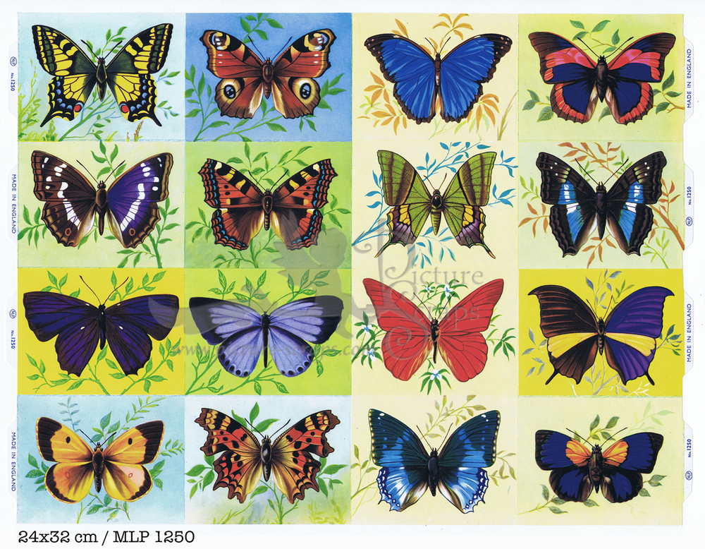 MLP 1250 full sheet butterflies.jpg