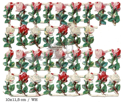 WH small roses 10x11.5.jpg