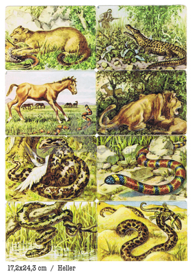 Heller wild animals and snakes square educational scraps.jpg