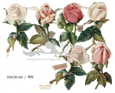 WH roses 10x12.jpg