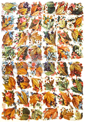 Birn Bros 395 autumn leafs and flowers.jpg