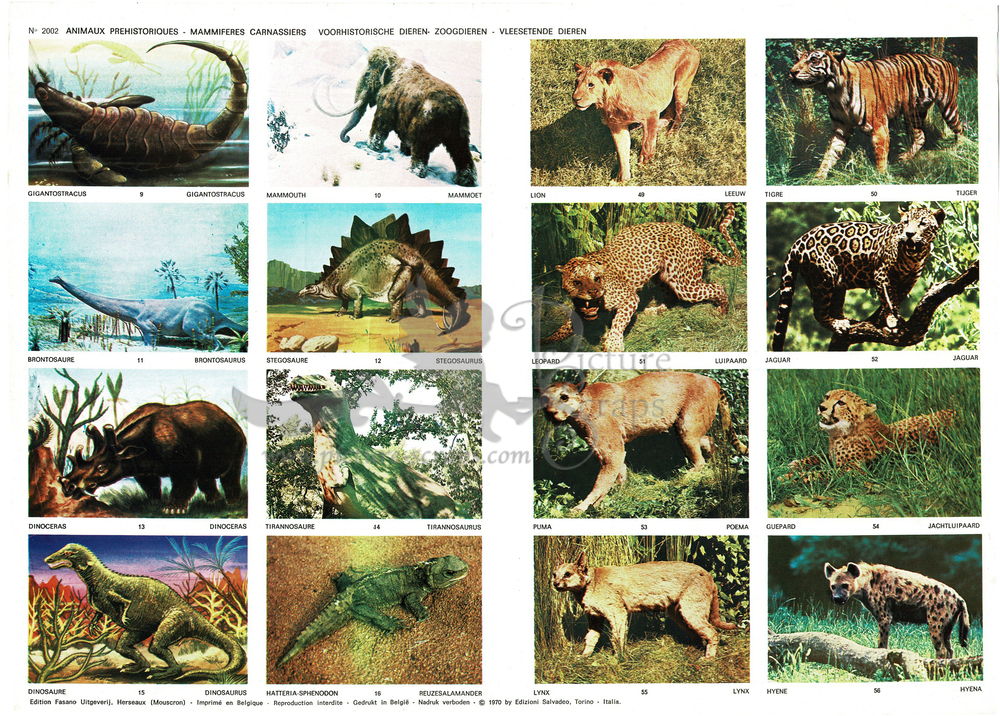 Fasano 2002 prehistoric animals mammal.jpg