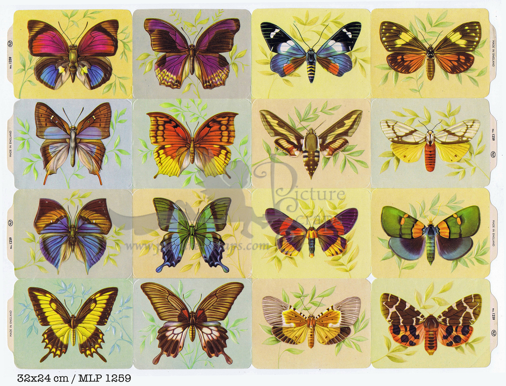 MLP 1259 full sheet butterflies.jpg