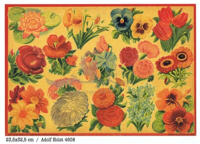 Adolf Holst 4608 flowers.jpg