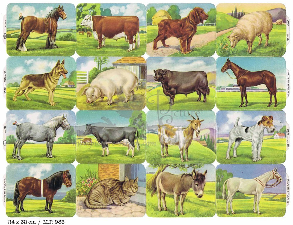 MP 982 farm animals.jpg
