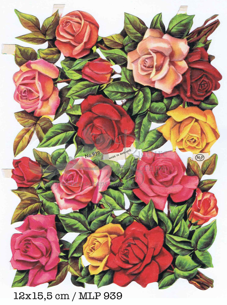 MLP 939 roses.jpg