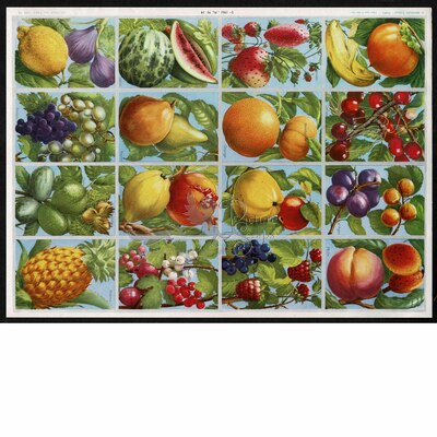 A.Arnaud 14 fruits.jpg