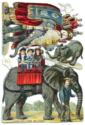 D.B. 473 circus elephants.jpg