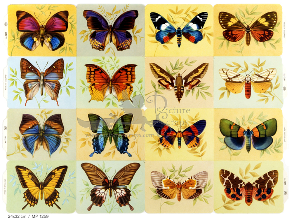 MP 1259 full sheet butterflies.jpg