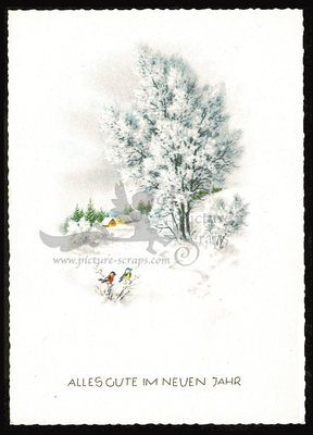 Postcard Haco 0371 a winter landscape birds.jpg