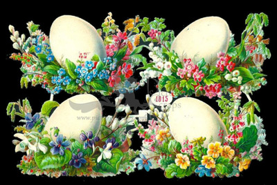 Albrecht & Meister 1015 eggs and flowers.jpg