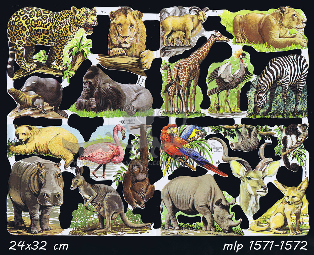 MLP 1571-1572 wild animals.jpg