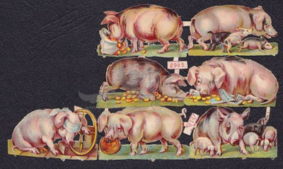 DSJ 2009 pigs.jpg